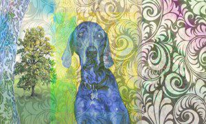 "Dog Sitting, Contemplating the Moment" by Janice Taylor, Weight Loss Coach, Author, Artist, Positarian