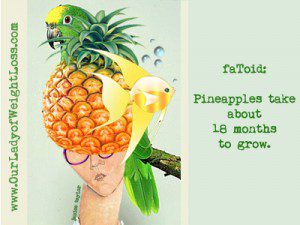How Fast Doth Your Pineapple Grow by Janice Taylor, Anti-Gravity Coach, Positarian, Author, Artist