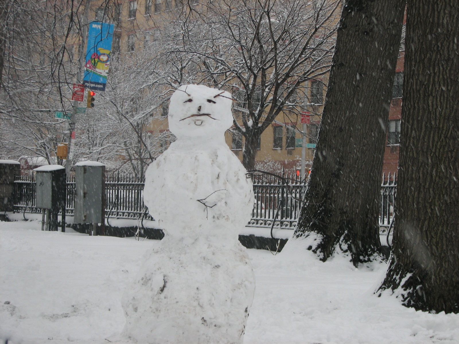 New York City SNOW DAY - February 10, 2010 - the snow man