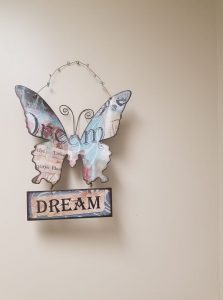 butterflydreams