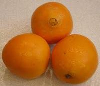 navel oranges.jpg