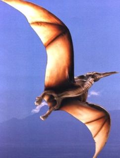 Pterodactyl4.jpg