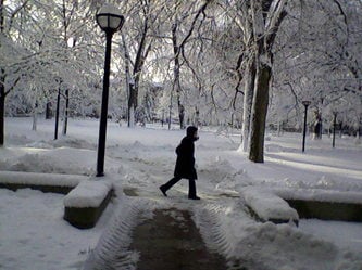 Photo-0033 - snow.jpg