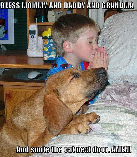 littleboy-dog-praying.jpg