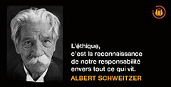 Albert Schweitzer.jpg