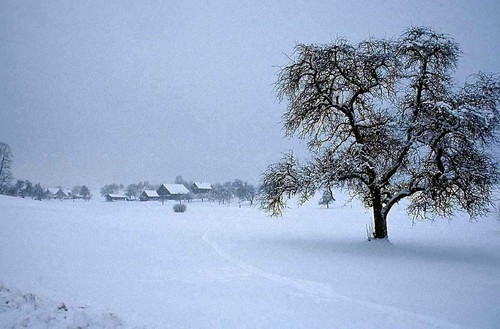 PEARtree-winter-village.jpg