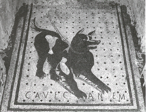 Cave Canem.jpg