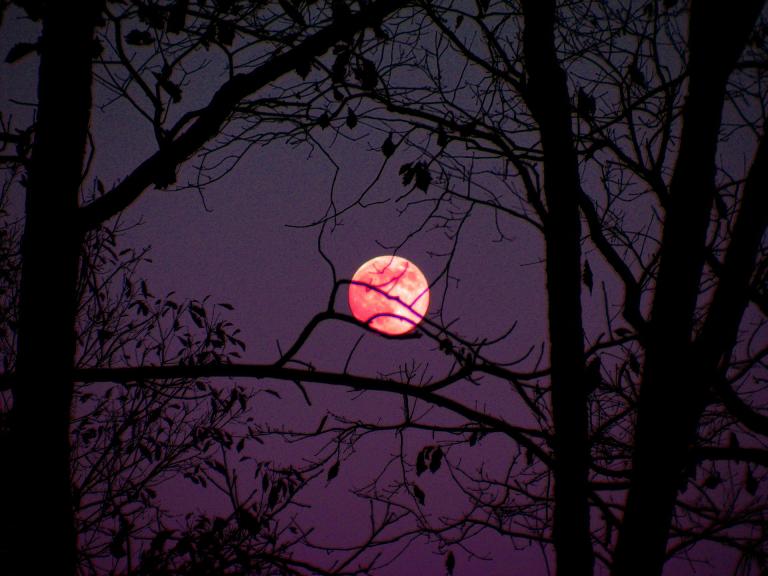 Is Tonight’s Rare Pink Supermoon a Sign of the End Times?