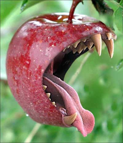 evil_apple.jpg