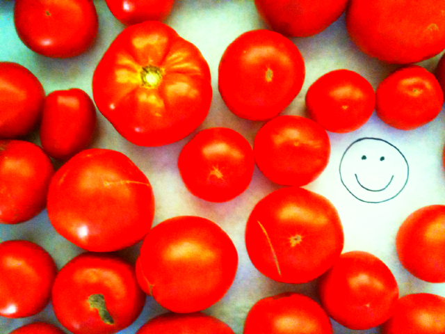 horizontal tomatoes.jpg