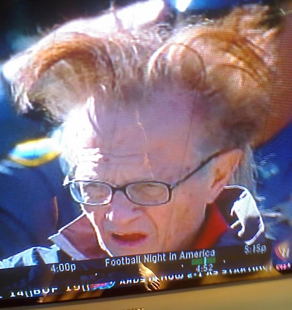 larrykinghair.jpg