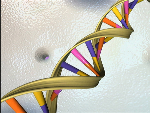 DNA Helix.jpg