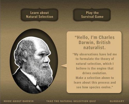 Darwin_game_screencap.jpg