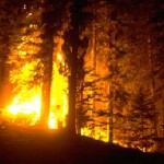 A wildfire in Colorado