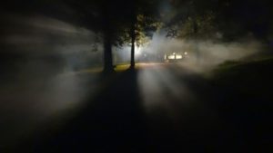 forest-fog-dark-loneliness-fear-horror-spirit (1)