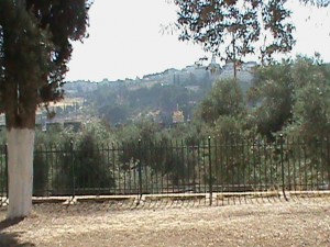 The Mount of Olives in Jerusalem, opposite the Temple Mount. Jesus will return to the Mount of Olives at a time appointed by God the Father, according to Scripture.