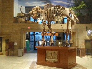 The Creation Museum in Kentucky.