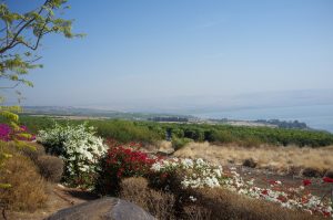 The Mount of Beatitudes, northern Israel