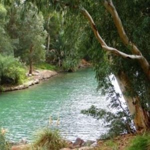 The lush northern Galilee (credit: Israel Ministry of Tourism)