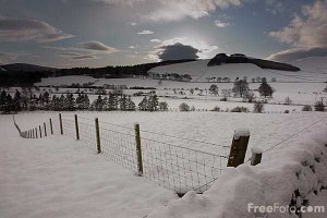 Winter scene in the Tweed Valley