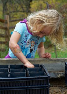 acorn-planting-941552_1920