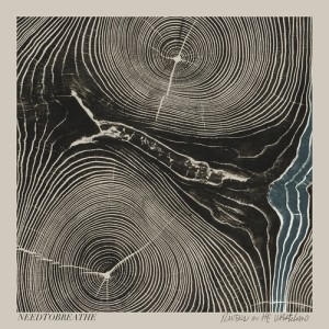 Rivers In The Wasteland is NEEDTOBREATHE's fifth studio album. (photo courtesy of The Media Collective)