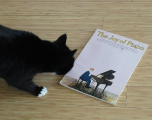 joy of piano book with calvin