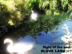 Flight of the Soul #LoveLand101 Melanie Lutz Lake Shrine