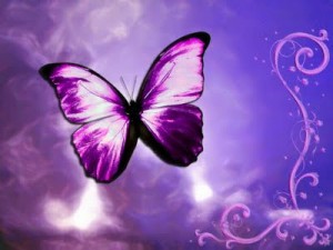 caterpillar-butterfly-transformation