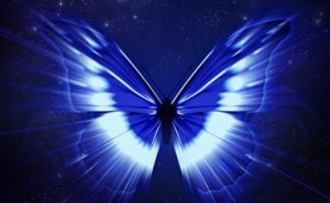 butterfly-transformation-380x235[1].jpg.opt380x235o0,0s380x235