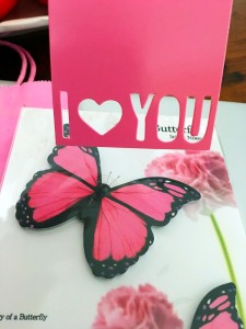 I love You Pink Butterflies Melanie Lutz