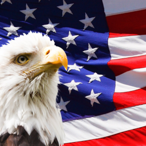 Fly Eagle Fly America