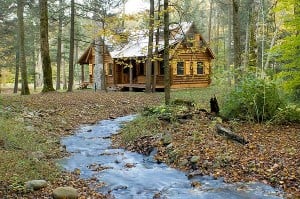 cabin in the woods