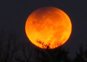 beliefnet lunar eclipse forecast astrology matthew currie