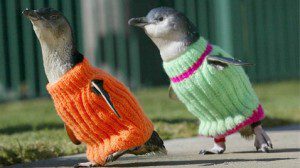 beliefnet astrology matthew currie penguins sweaters