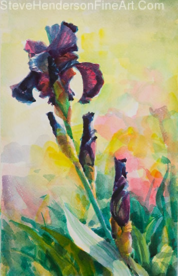 Purple Iris inspirational original watercolor of flower in meadow by Steve Henderson licensed print at Framed Canvas Art and Amazon.com