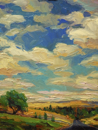 Clouds inspirational original oil painting of meadow and sky by Steve Henderson
