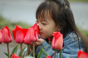 Sweet little girl and the red tulips