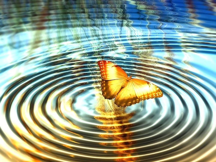 What Is The Butterfly Effect In Simple Terms