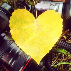 love-heart-yellow-photography