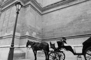 black-and-white-carriage-coach-horse