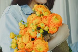 yellow-and-orange-flowers-2317914