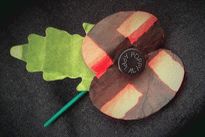 poppy offensive (3)