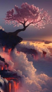 Fuji Volcano with Cherry Blossom - Japan