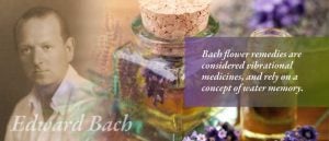 Bach flower remedies for depression | Terezia Farkas | author | depression help | Beliefnet