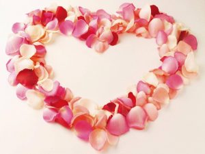 rose petal flower remedies for depression | Terezia Farkas | depression help | Beliefnet