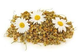 chamomile | Terezia Farkas | Beliefnet | depression help