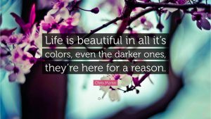 life is beautiful | Chris Martin | Terezia Farkas | Beliefnet