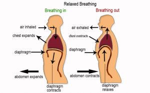 relaxed breathing techniques | Terezia Farkas | Beliefnet | depression help