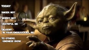 For Yoda (Pictured) it is also time to eat. Image sourced via google images (Flickr). 